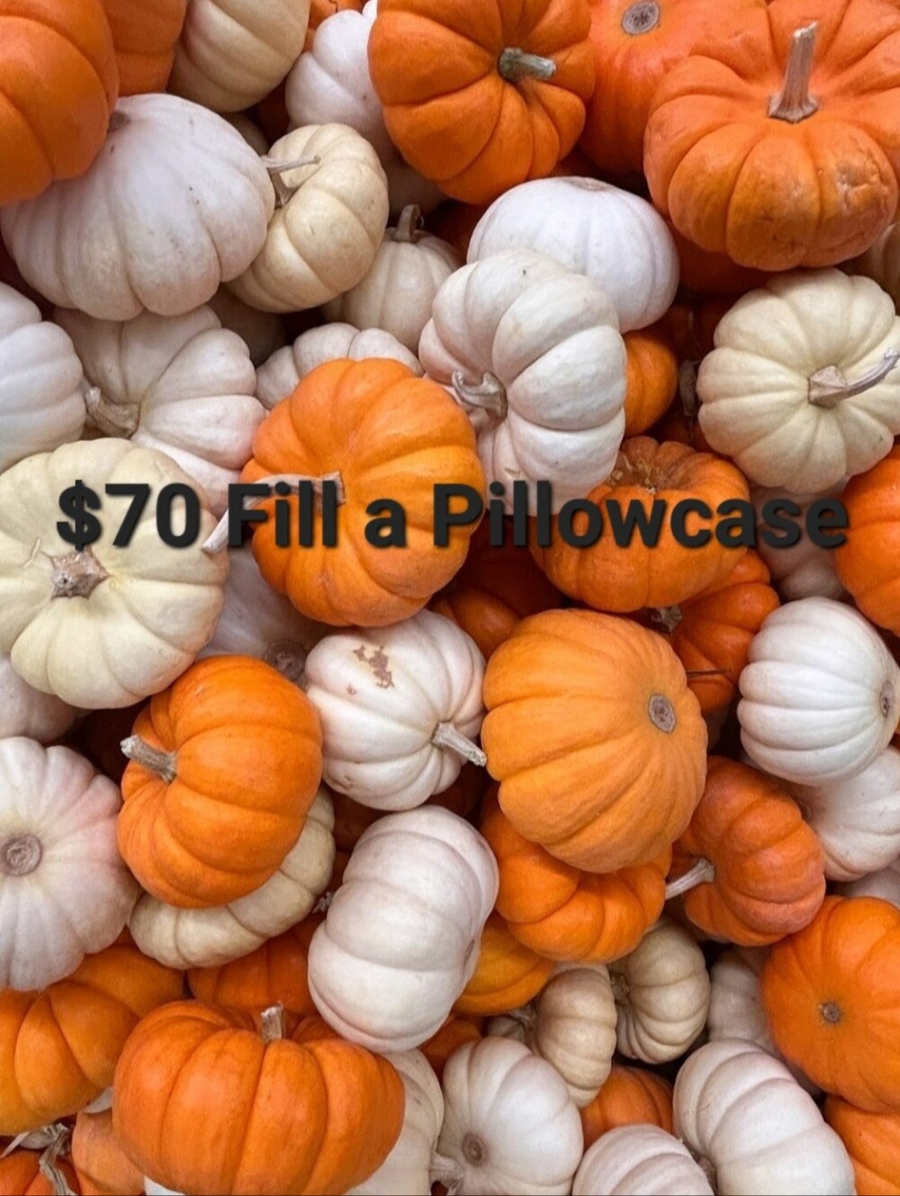 $70 Fill A Pillowcase - Clothing
